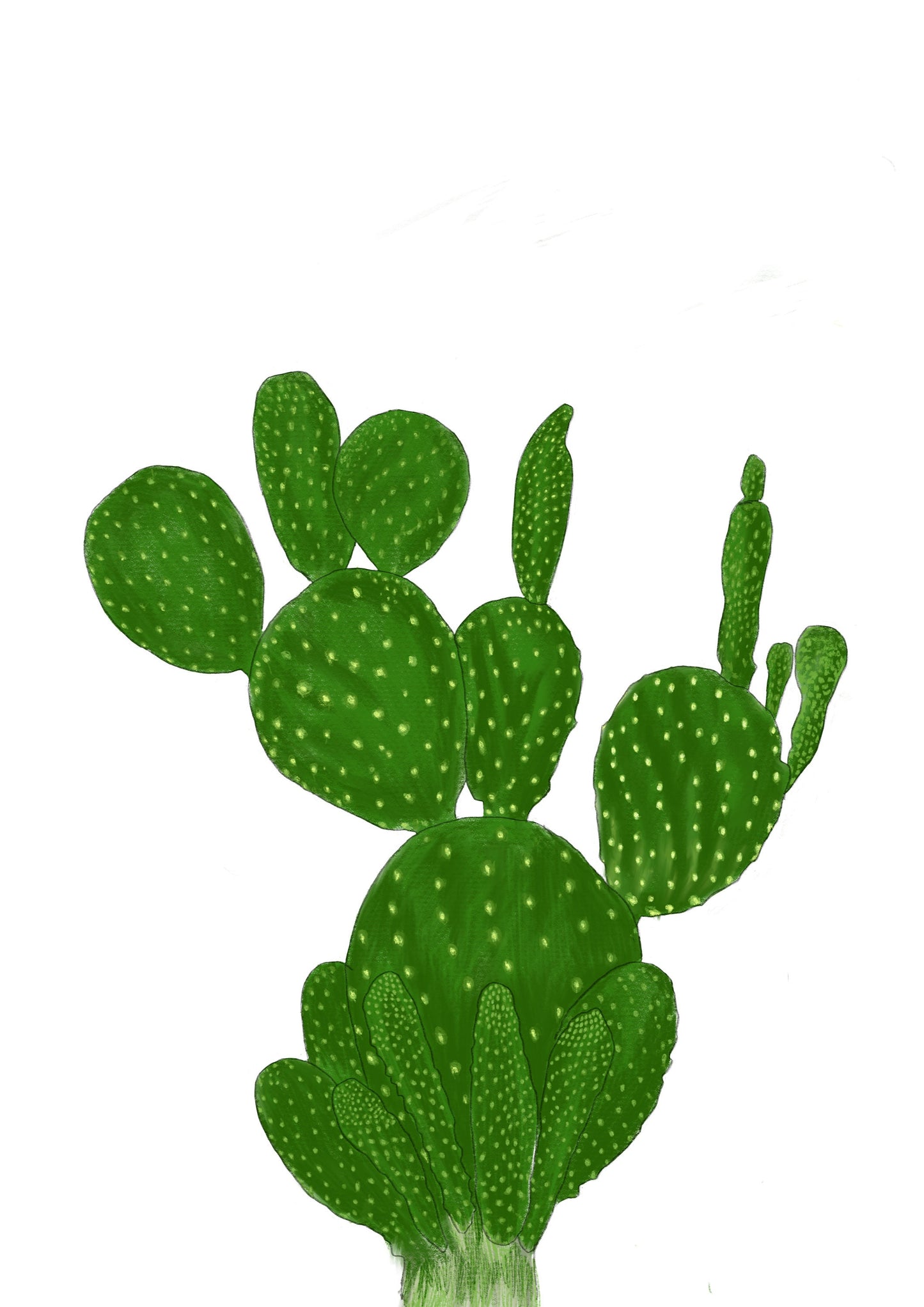 Cactus - Set of Two | Plant Collection | Contemporary Art #2