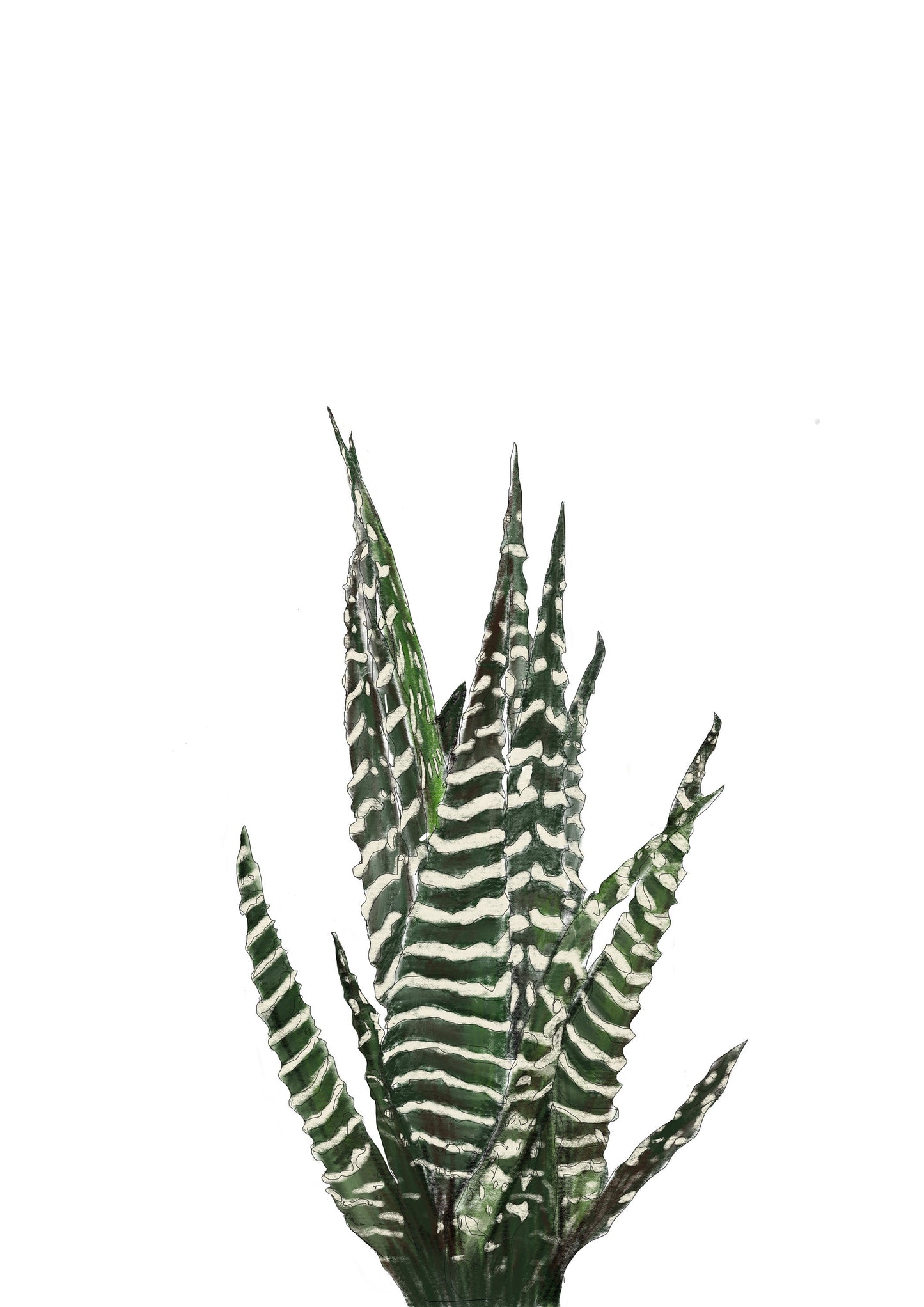 Cactus - Set of Two | Plant Collection | Contemporary Art #2